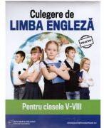 Culegere de limba engleza pentru clasele 5-8- Daniela Stefania Ionescu (ISBN: 9786064701862)