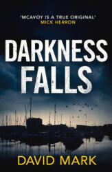 Darkness Falls - Mark David Mark (ISBN: 9781800246331)