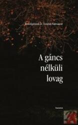 A GÁNCS NÉLKÜLI LOVAG (ISBN: 9789731650579)