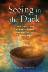 Seeing in the Dark - Paul Bowersox (ISBN: 9781578634439)