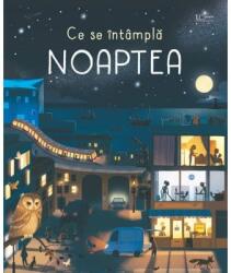 Ce Se Intampla Noaptea? (ISBN: 9786067045987)