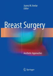 Breast Surgery: Aesthetic Approaches (ISBN: 9783030096106)