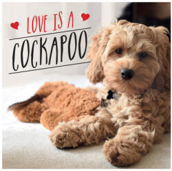 Love Is a Cockapoo: A Dog-Tastic Celebration of the World's Cutest Breed (2021)