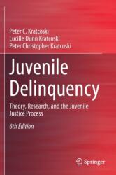 Juvenile Delinquency - Peter Christopher Kratcoski, Lucille Dunn Kratcoski (2020)