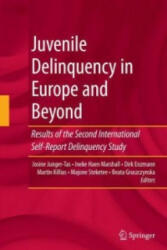 Juvenile Delinquency in Europe and Beyond - Dirk Enzmann, Beata Gruszczynska, Josine Junger-Tas, Martin Killias, Ineke Haen Marshall, Majone Steketee (2014)