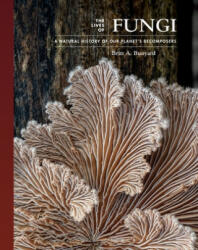 Lives of Fungi - Britt Bunyard (ISBN: 9780691229843)