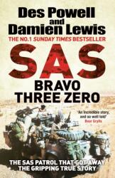 SAS Bravo Three Zero (ISBN: 9781529414165)