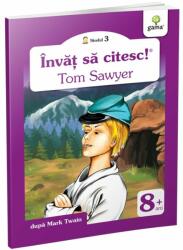 Tom Sawyer (ISBN: 9789731494289)