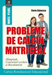 Probleme de calcul matriceal. Olimpiade. Concursuri scolare. Bacalaureat - Florin Stanescu (ISBN: 9786068982366)