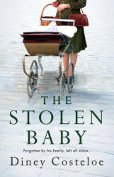 The Stolen Baby (ISBN: 9781789543346)