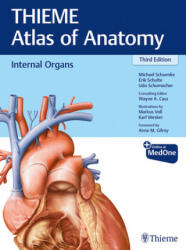 Internal Organs (THIEME Atlas of Anatomy) - Erik Schulte, Udo Schumacher, Wayne Cass (ISBN: 9781626237209)