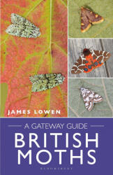 British Moths: A Gateway Guide (ISBN: 9781472987389)
