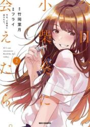 Chasing After Aoi Koshiba 2 (ISBN: 9781646511884)