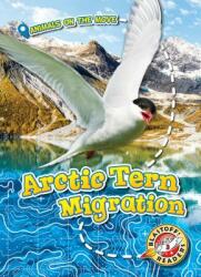 Arctic Tern Migration (ISBN: 9781626178137)