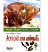 Acvacultura animala (broaste, moluste, lipitori, crustacee) - Nicolae Turliu (ISBN: 9789731181226)