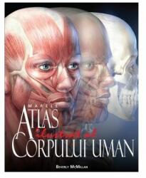 Marele atlas ilustrat al corpului uman - Beverly McMillan (ISBN: 9786063317446)