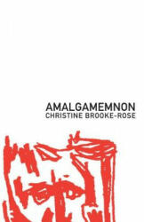 Amalgamemnon - Christine Brooke-Rose (ISBN: 9781564780508)