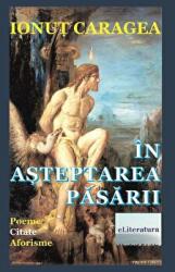 In asteptarea pasarii - Ionut Caragea (ISBN: 9786067007244)