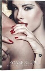 Secrete dezlantuite. Cartea a 3-a, Soare negru - Andrada Rezmuves (ISBN: 9786069092583)