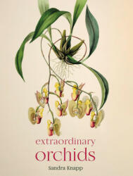 Extraordinary Orchids - Sandra Knapp (ISBN: 9780565095147)