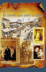 In labirint sunt umbre si lumini - Codrut Constantinescu (ISBN: 9789736454332)