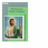 Sfantul apostol si martir IUDA TADEU - Sfantul cauzelor pierdute si fara speranta - Ecaterina Hanganu (ISBN: 9789731415482)