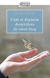 Cum sa depasim despartirea de omul drag - Dmitry Semenik (ISBN: 9789731366197)