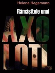 Ramasitele unui Axolotl - Helene Hegemann (ISBN: 9786066000628)