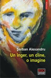 Un inger, un ciine, o imagine - Serban Alexandru (ISBN: 9789734657278)