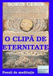 O clipa de eternitate - Sorin Cerin (ISBN: 9786067007503)