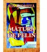 Matura de pelin - Ion Andreita (ISBN: 9786067002324)