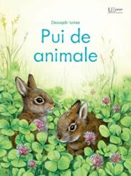 Pui de animale (Usborne) - Usborne Books (ISBN: 9786067048780)