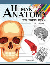 Human Anatomy Coloring Book: Anatomy & Physiology Coloring Book 3rd Edtion - Dr Michael D Clark (ISBN: 9781537715728)