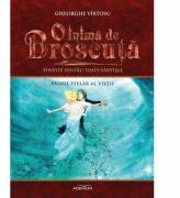 O inima de Broscuta. Volumul 3. Valsul stelar al vietii - Gheorghe Virtosu (ISBN: 9786069276785)