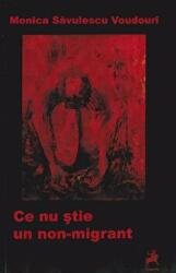 Ce nu stie un non-migrant - Monica Savulescu Voudouri (ISBN: 9786066646208)
