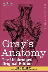 Gray's Anatomy - Henry Vandyke Carter (ISBN: 9781616404697)