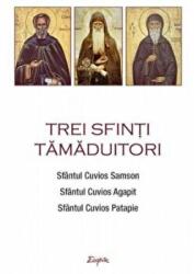 Trei sfinti tamaduitori: Sfantul Samson, Sfantul Agapit, Sfantul Patapie (ISBN: 9789731367217)