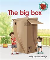 The big box (ISBN: 9781398216983)
