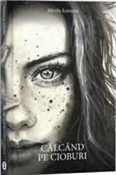 Calcand pe cioburi - Mirela Iconaru (ISBN: 9786069092576)