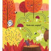 Unde esti, vulpito? (Usborne) - Usborne Books (ISBN: 9786067047172)