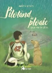Pilotand in ploaie. Viata mea de catel - Garth Stein (ISBN: 9786069499122)