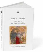 Cind ploua ma numesc altfel - Ioan T. Morar (ISBN: 9786068977829)