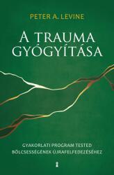 A trauma gyógyítása (2021)