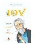 Iov. Taina rabdarii in suferinta - Ani-Eliza Busuioc (ISBN: 9786062904012)