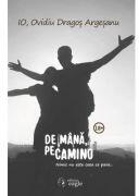 De mana, pe Camino - Ovidiu Dragos Argesanu (ISBN: 9786068790138)