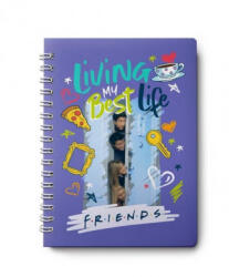 Friends: 12-Month Undated Planner - Insights (ISBN: 9781647223915)