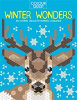 Colour Quest (R): Winter Wonders - Lauren Farnsworth, Daniela Geremia (ISBN: 9781789293029)