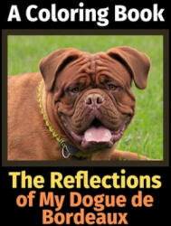 Reflections of My Dogue de Bordeaux - Brightview Activity Books (ISBN: 9781709811319)