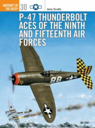 P-47 Thunderbolt Aces of the Ninth and Fifteenth Air Forces (ISBN: 9781855329065)