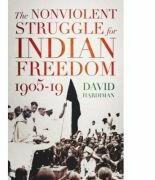 The Nonviolent Struggle for Indian Freedom, 1905-19 - David Hardiman (ISBN: 9781849049702)